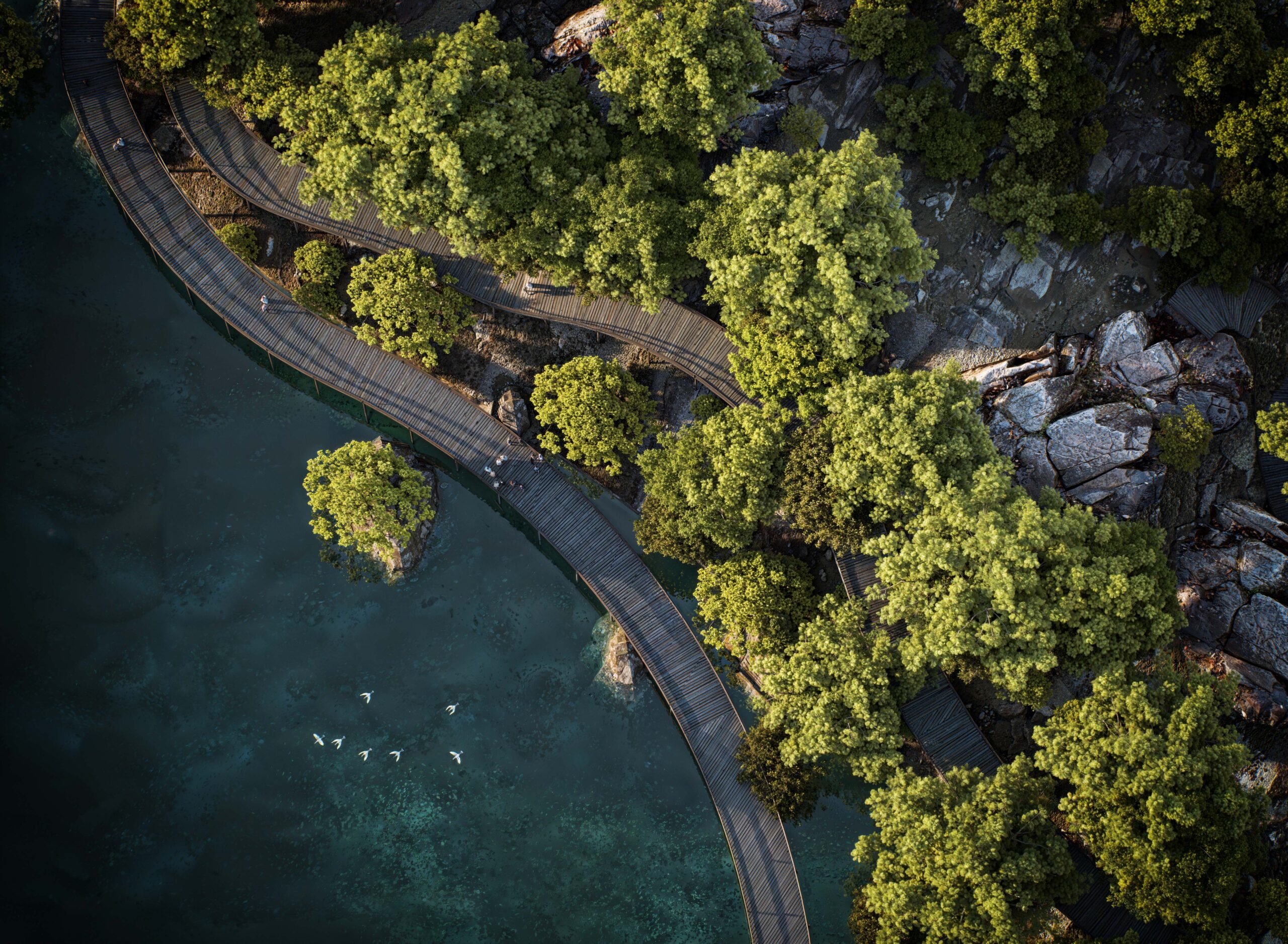 DAL046 Riverleaf Park – Portfolio 24 – Ecowalk Top View